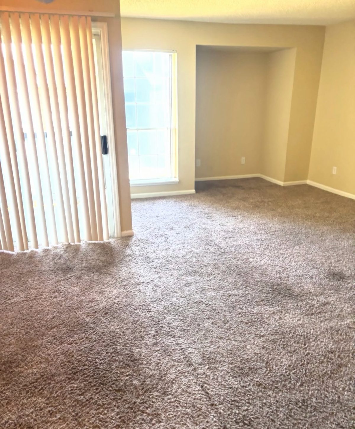 Freshly painted, move-in ready apartment living room